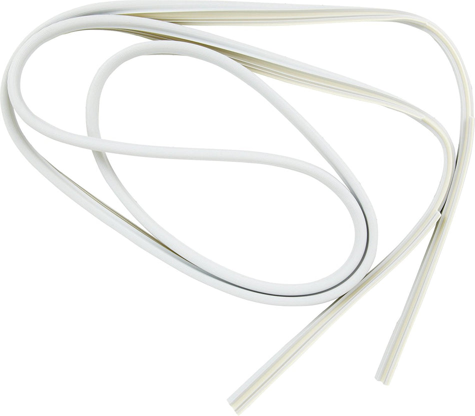 Dishwasher Door Gasket